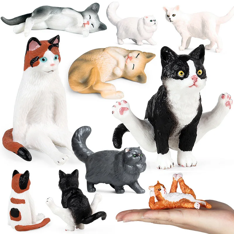 Modeliavimo White Pet Persų Katė Miniacture Laukinių Gyvūnų Figūrėlių, Naminių Paukščių Orange Kačių Figūrėlės Švietimo Žaislai, Dovanos Vaikams