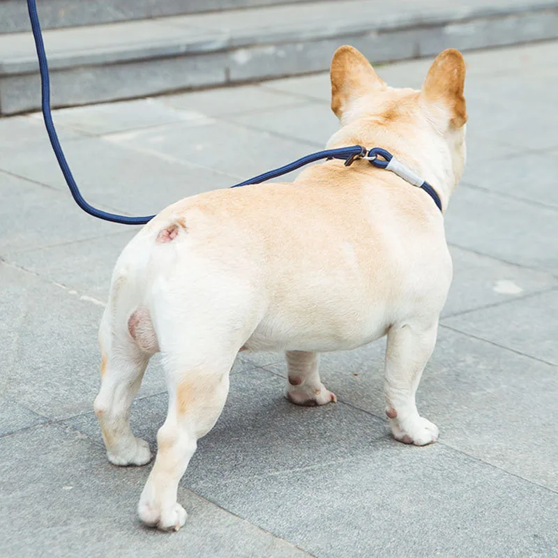 Šuo traukos virvės P grandinės šuo vaikščioti virve, mažylis profesinės konkurencijos virvę naminių reikmenys