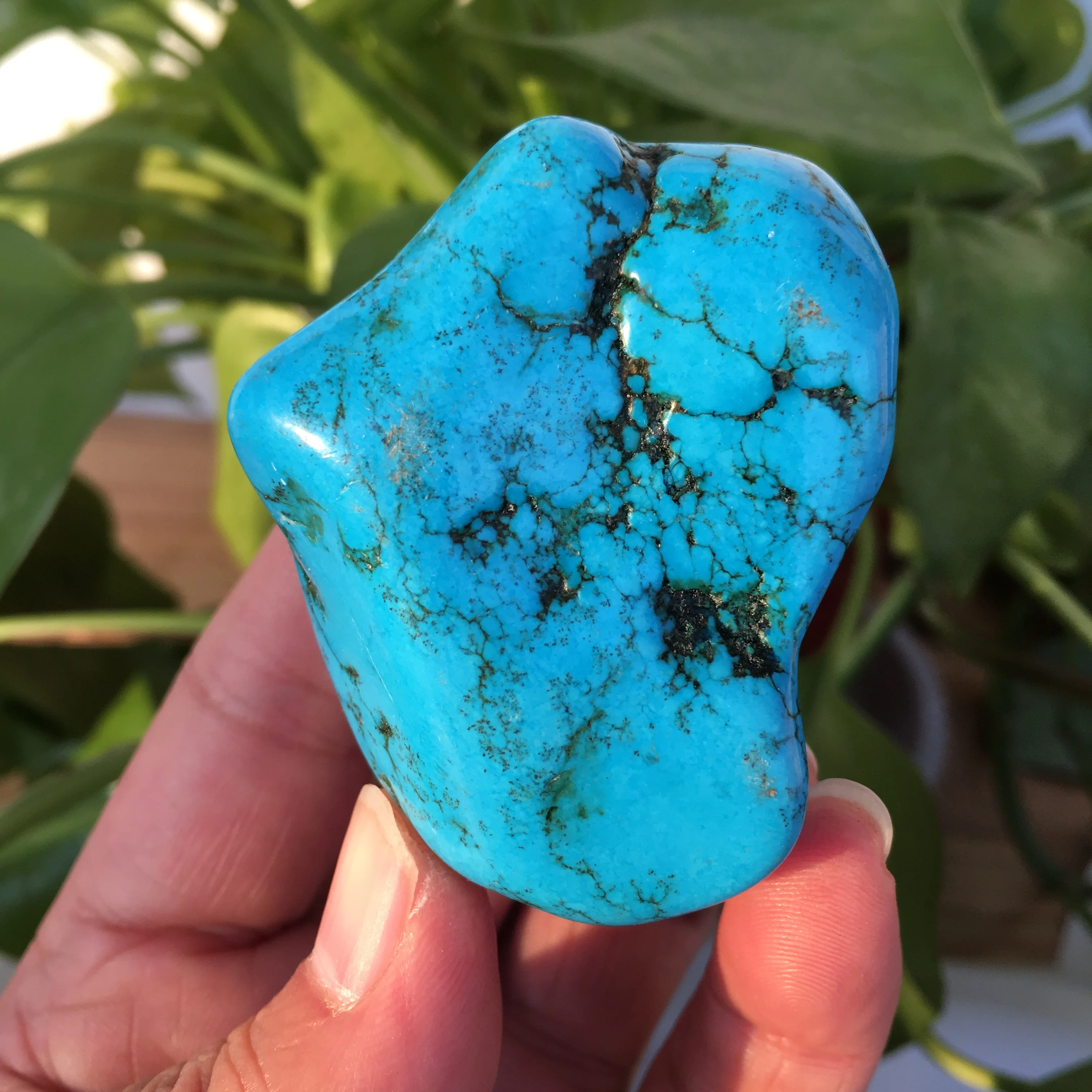 Natūralus mėlynas turkis mineralinių ant pliko akmens mineralinių kristalų gijimas