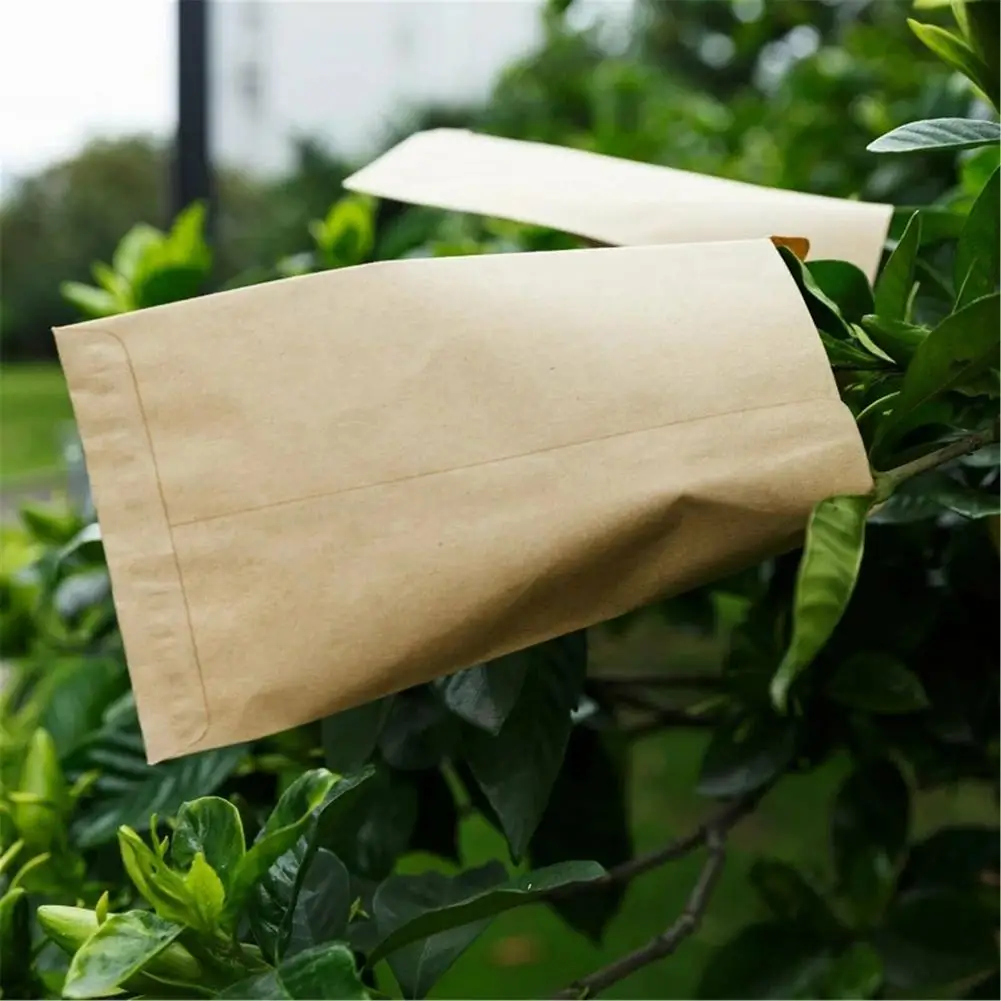 100/200pcs Kraft Paper Bag Sėklos, Daržovių Papuošalų Laikymo Maišeliai Mini Vokai Sodo Namo, Biuro darbo Organizavimo Reikmenys 6*11cm
